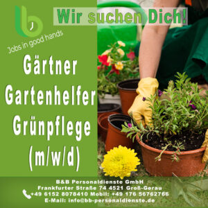 Mehr über den Artikel erfahren Gärtner /Gartenhelfer/Grünpflege (m/w/d)